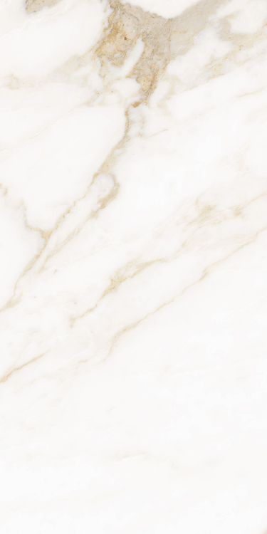 Classy Warm White Matte 12 x 24